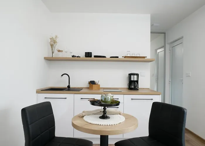 公寓 Infinity Roznov *